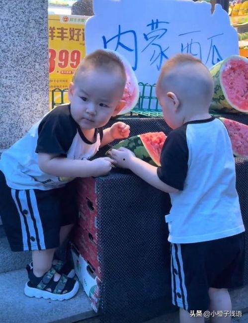 娱乐吃瓜双胞胎